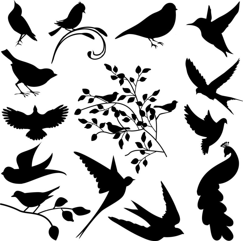 Трафареты птичек для вырезания из бумаги