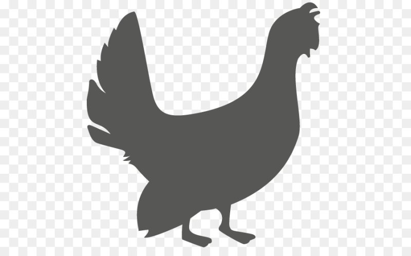 Силуэт глухаря