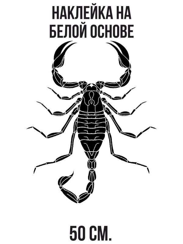 Скорпион эскиз