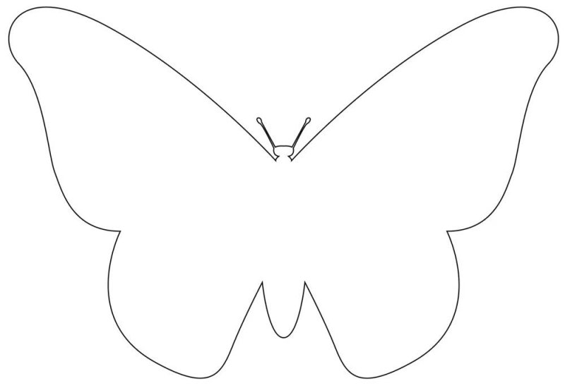 Большие трафареты бабочек