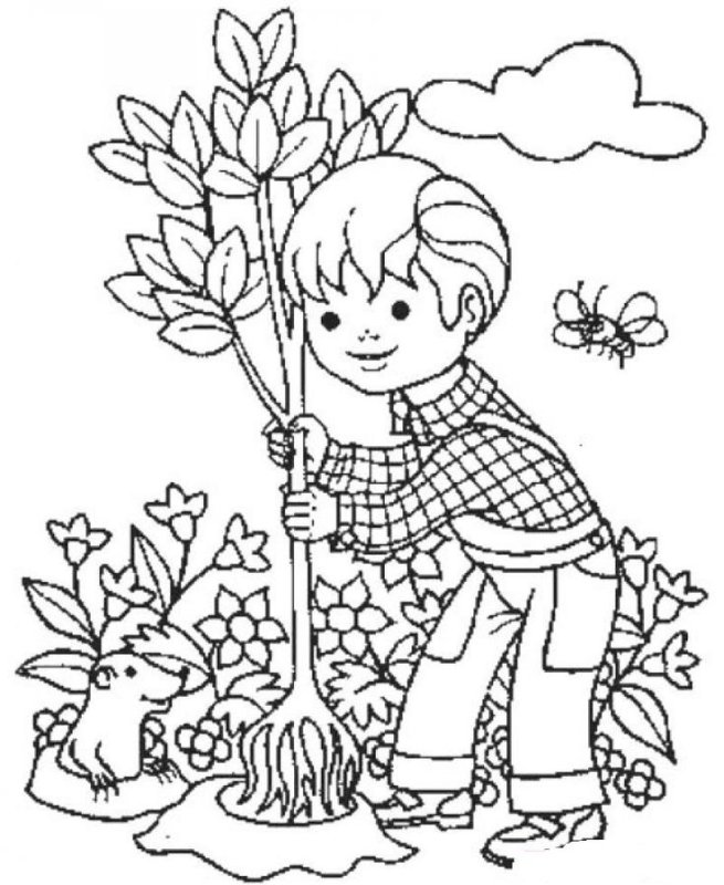 Раскраска природа