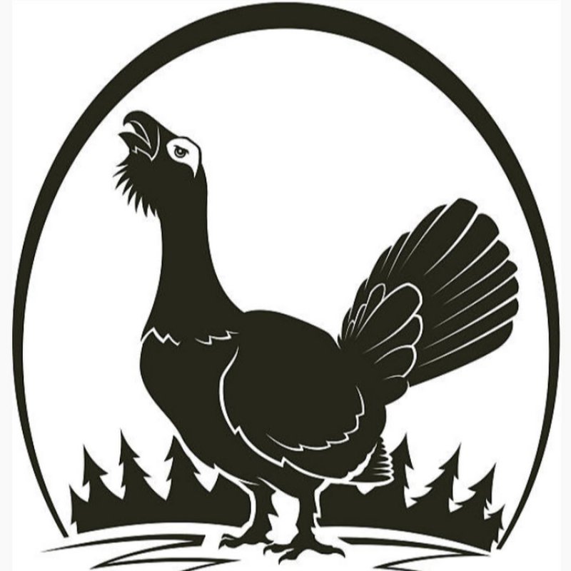 Глухарь логотип