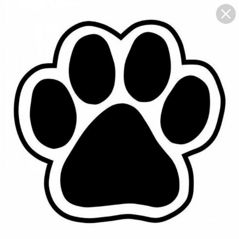 Щенячий патруль следы