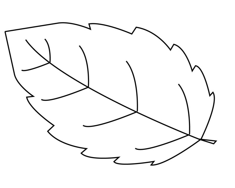 Листья раскраска