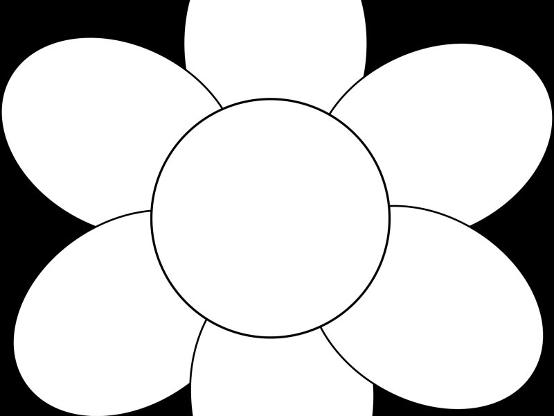 Контуры цветов для рисования