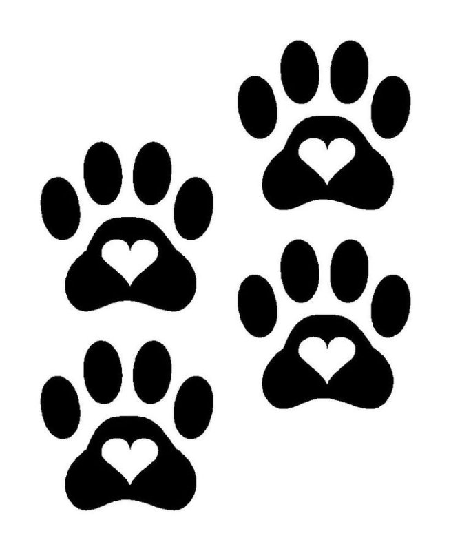 Отпечаток лапки кота