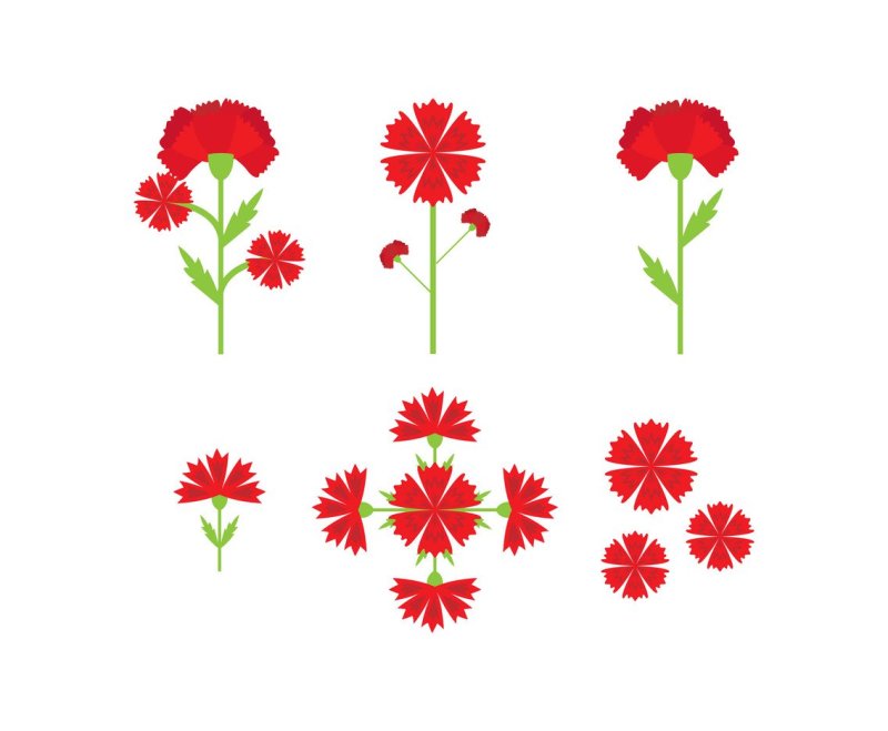 Стилизованные гвоздики