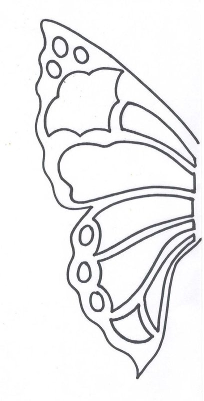 Бабочка шаблон для вырезания