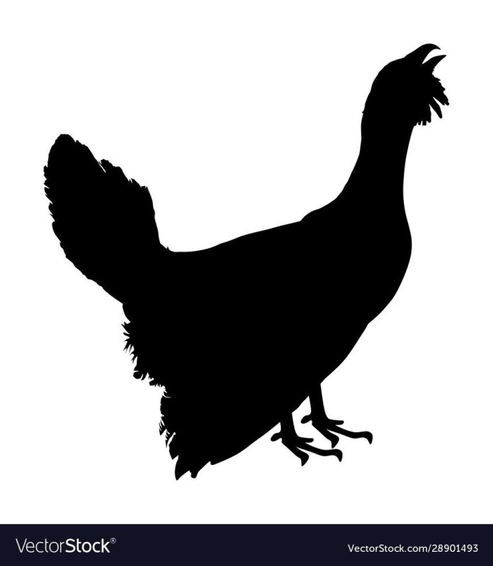 Трафарет тетерева