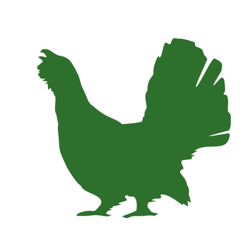 Глухарь логотип