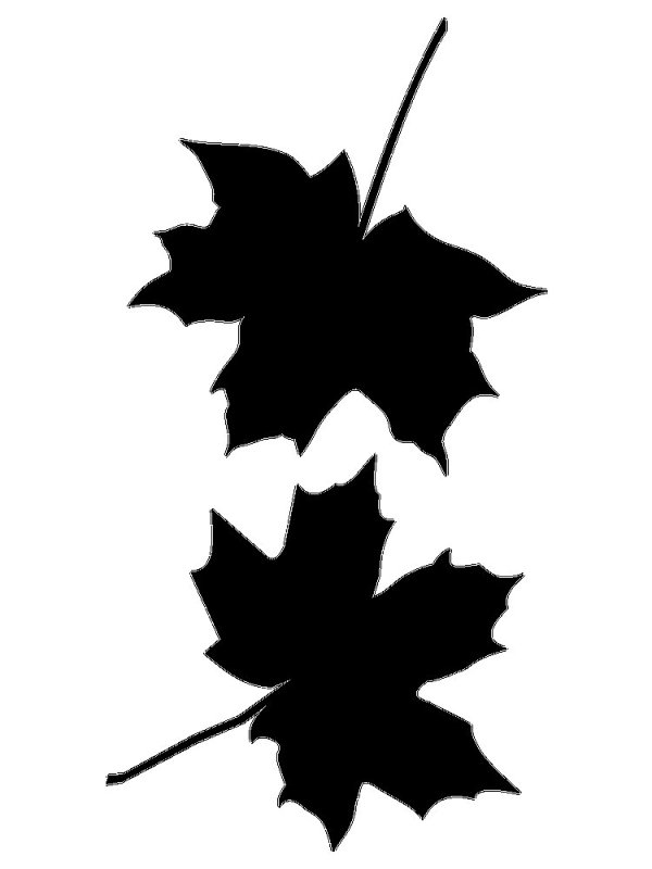 Трафареты листьев для декора стен