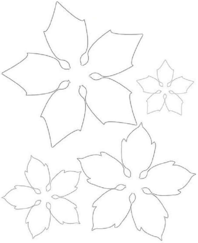 Лекала цветов из бумаги