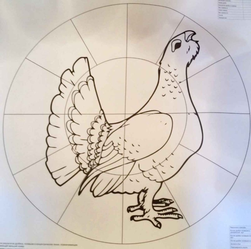 Трафарет тетерева