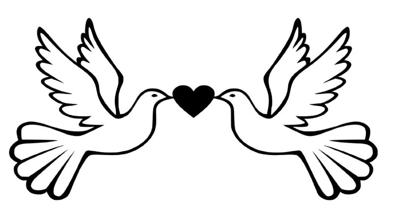 Свадебные голуби