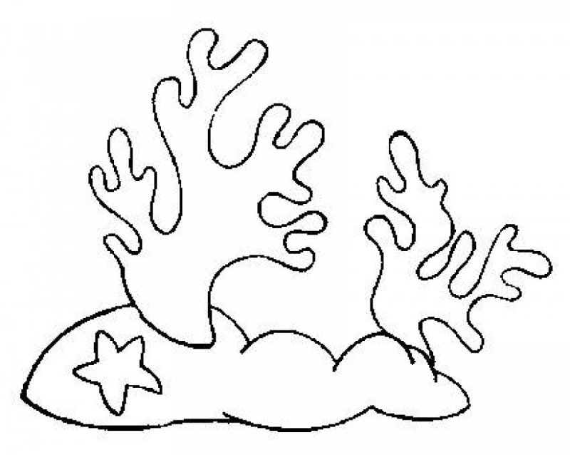 Морские водоросли раскраска для детей