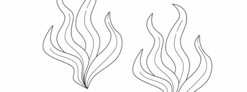 Водоросли раскраска