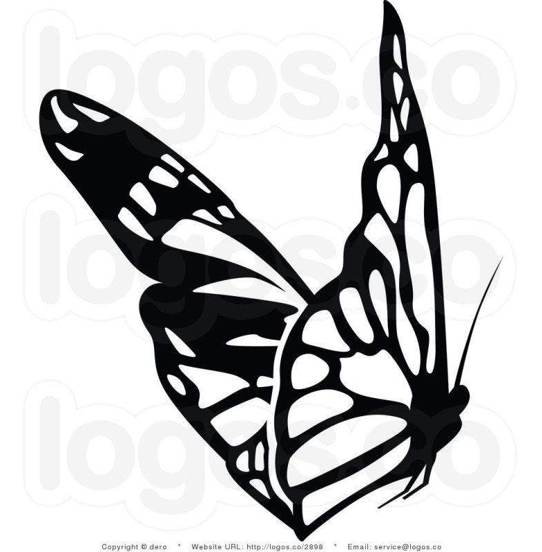 Трафареты бабочки