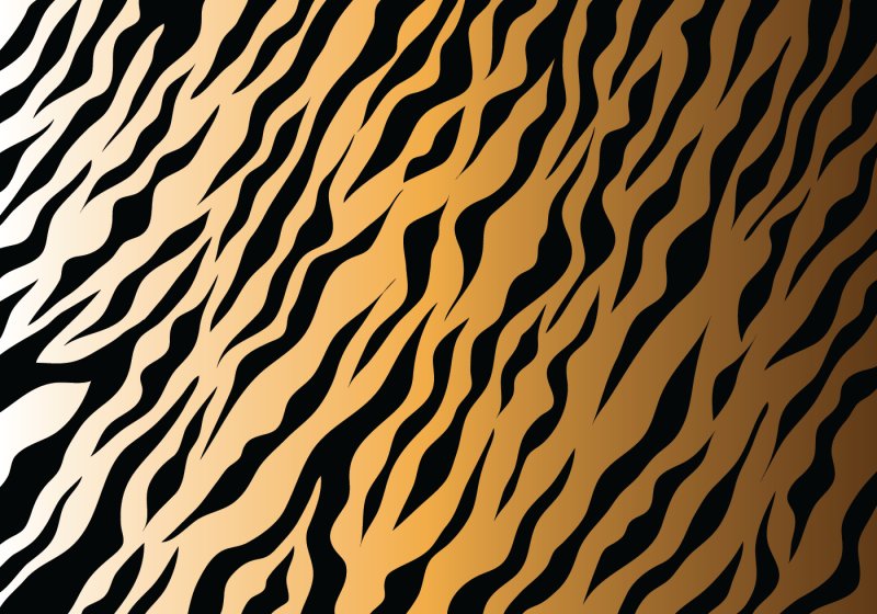 Тигриный паттерн