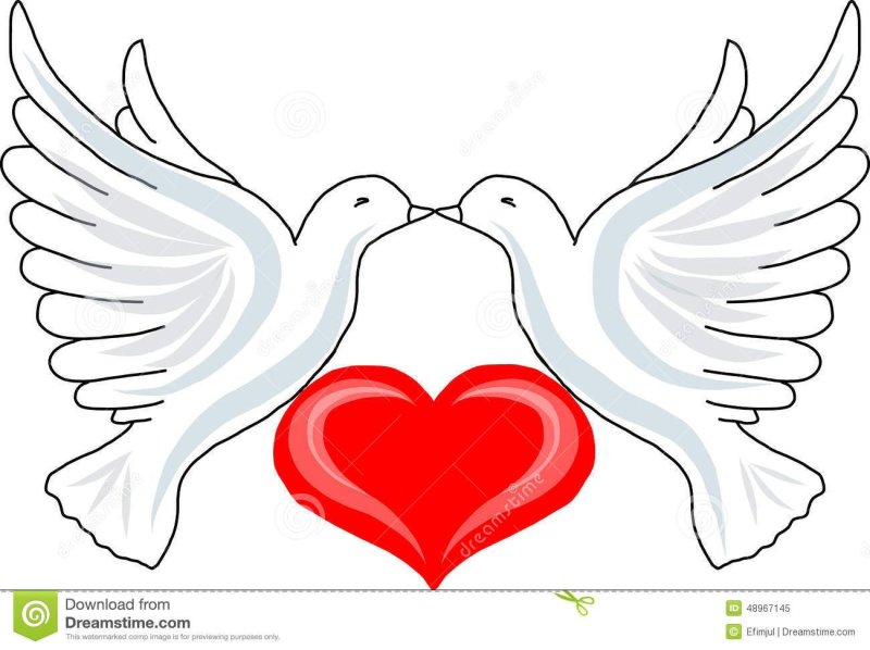 Сердце голубя