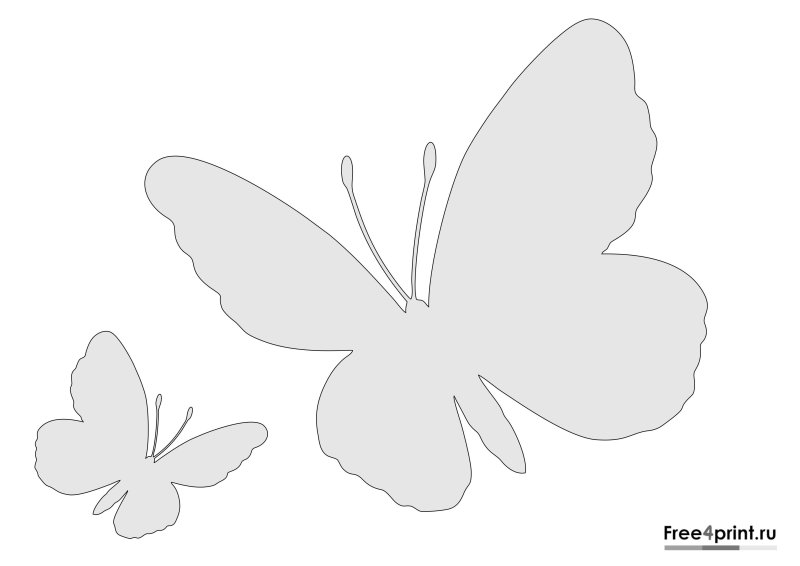 Бабочка шаблон для вырезания