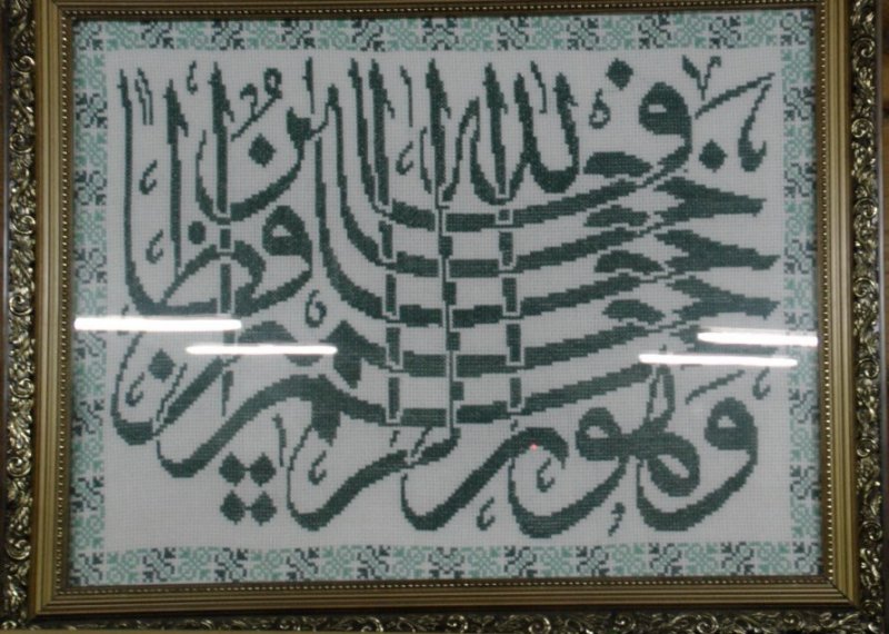 Шамаиль красивый белый