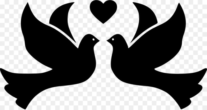 Трафарет птицы