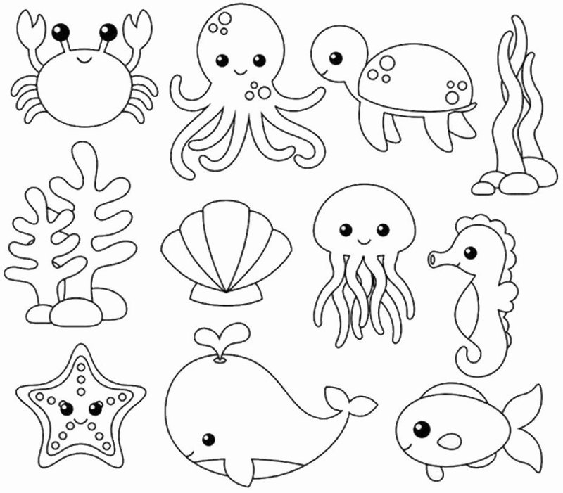 Обитатели моря для детей