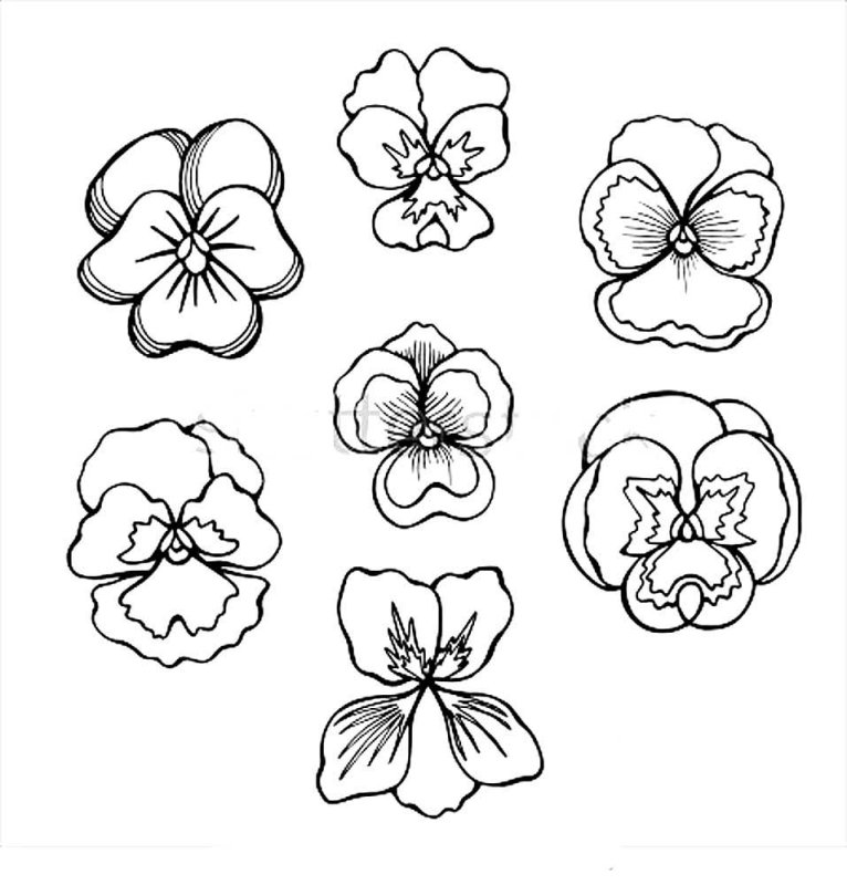 Анютины глазки стилизация