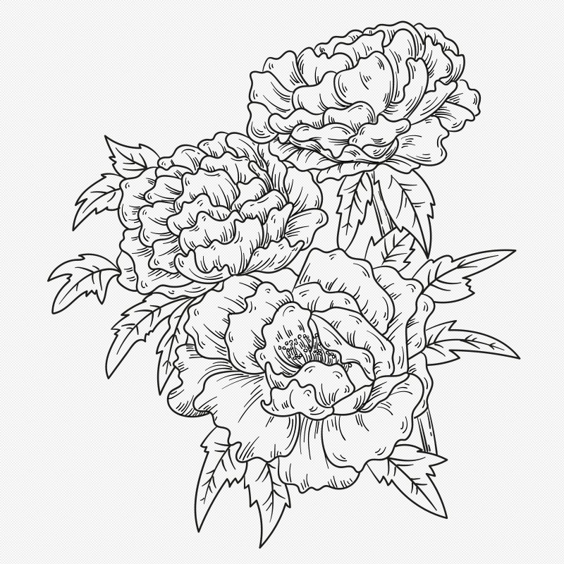 Пион вектор контур