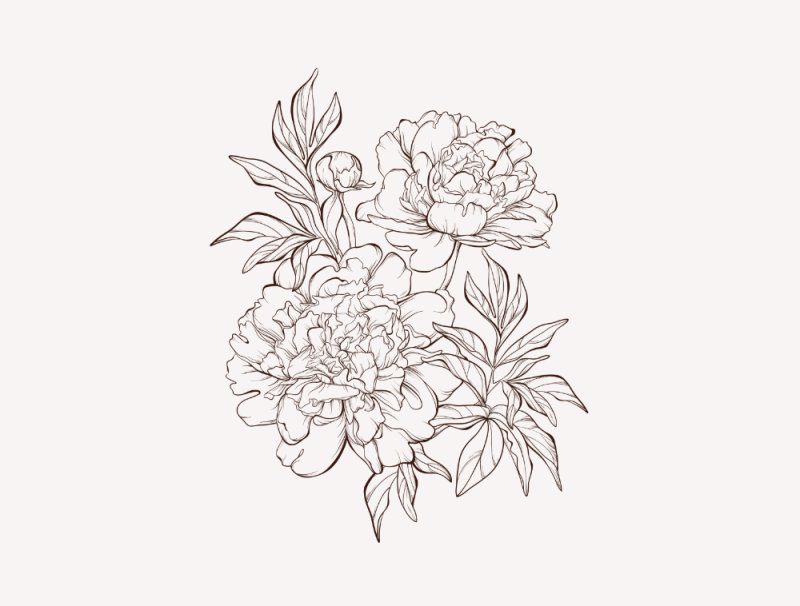 Контур пиона для тату