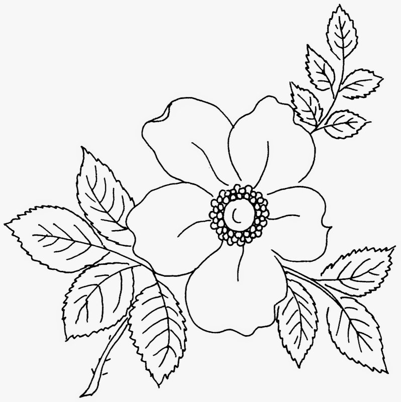 Трафарет для вышивки цветы