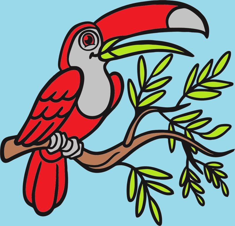 Тукан рисунок для детей