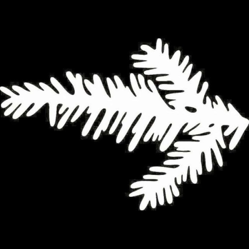 Ветка елки на окно