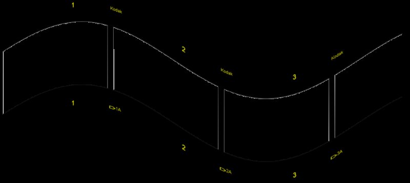 Лента кинопленки