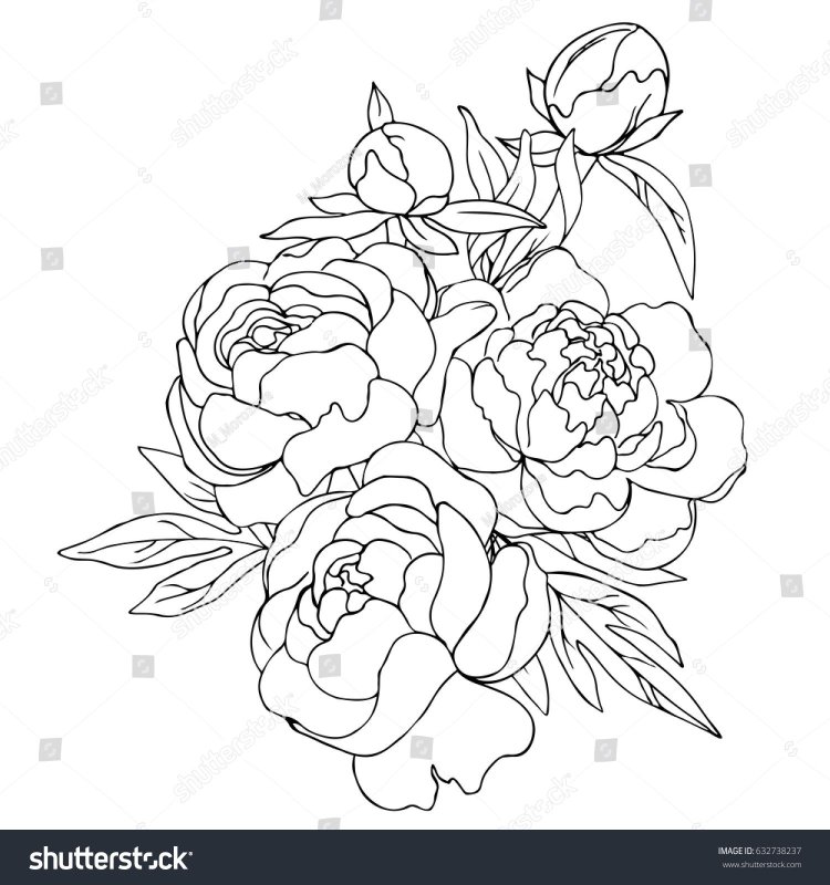 Пионы для раскрашивания