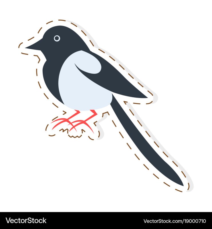 Сорока картинка для детей