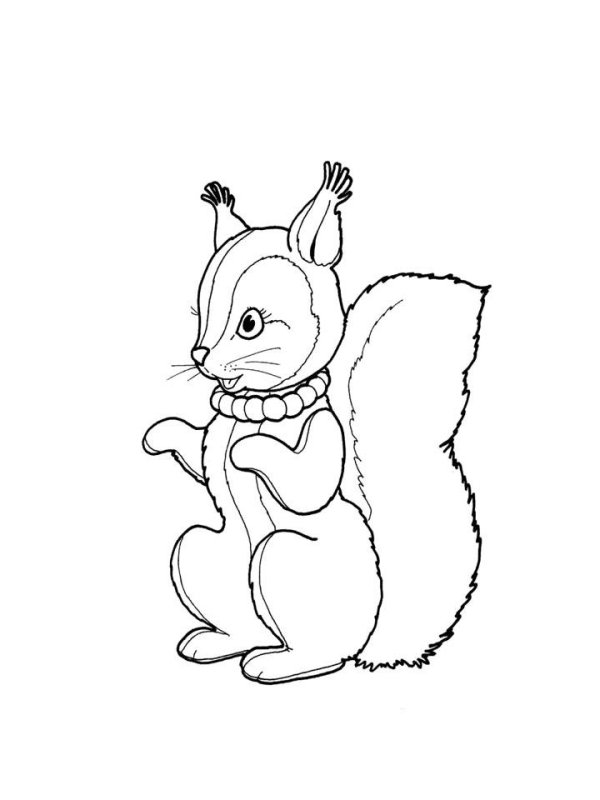 Детские раскраски Белочка