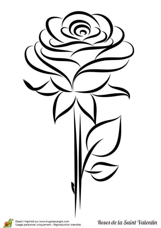 Цветы рисунок