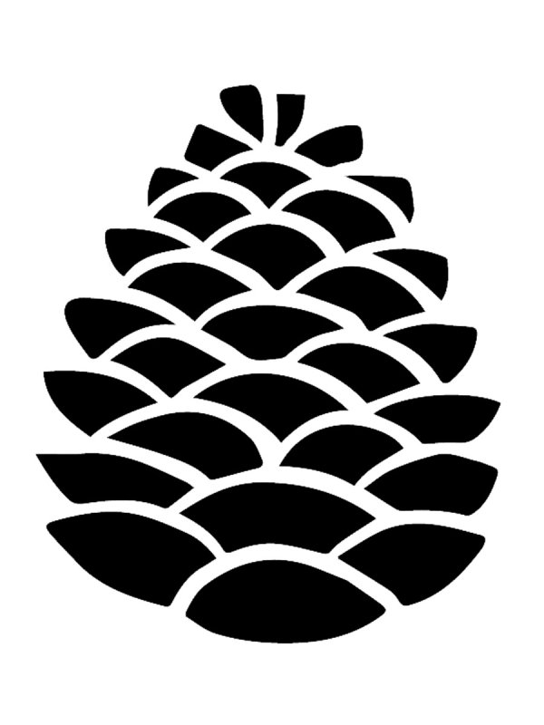 Шишка черно белая