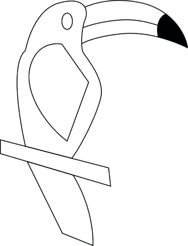 Тукан трафарет