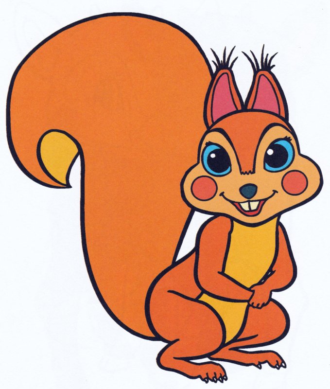 Белочка картинка для детей
