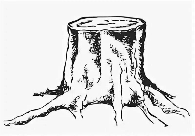 Пень раскраска для детей