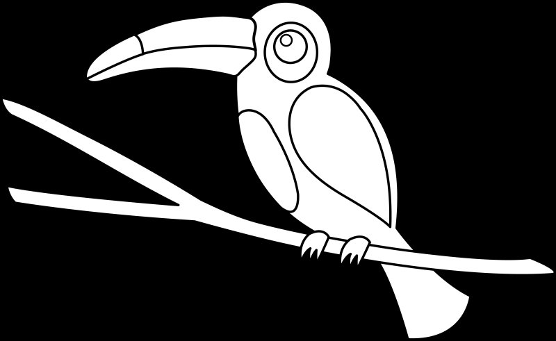 Рисунок для раскрашивания тукана