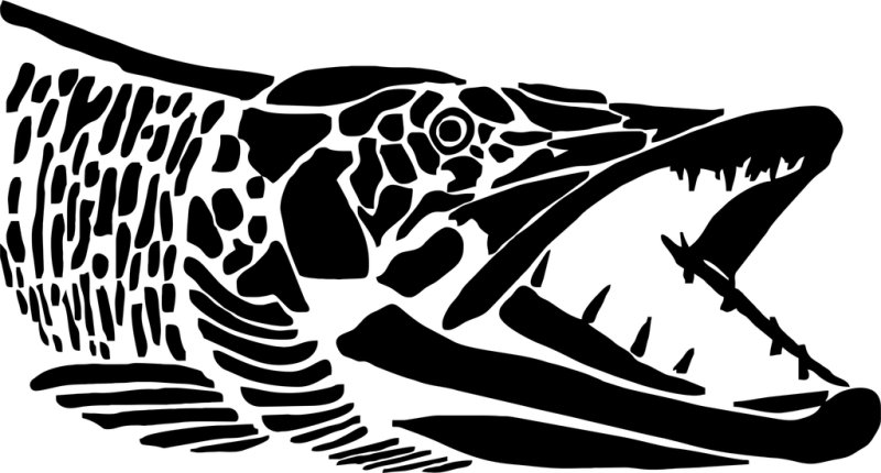 Трафарет для выжигания рыбалка