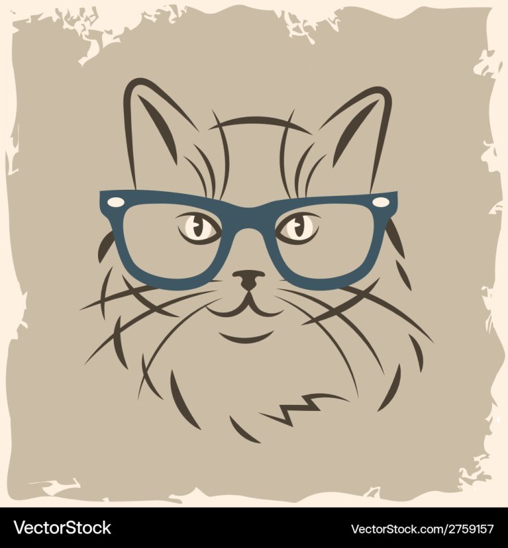 Котик в очках рисунок