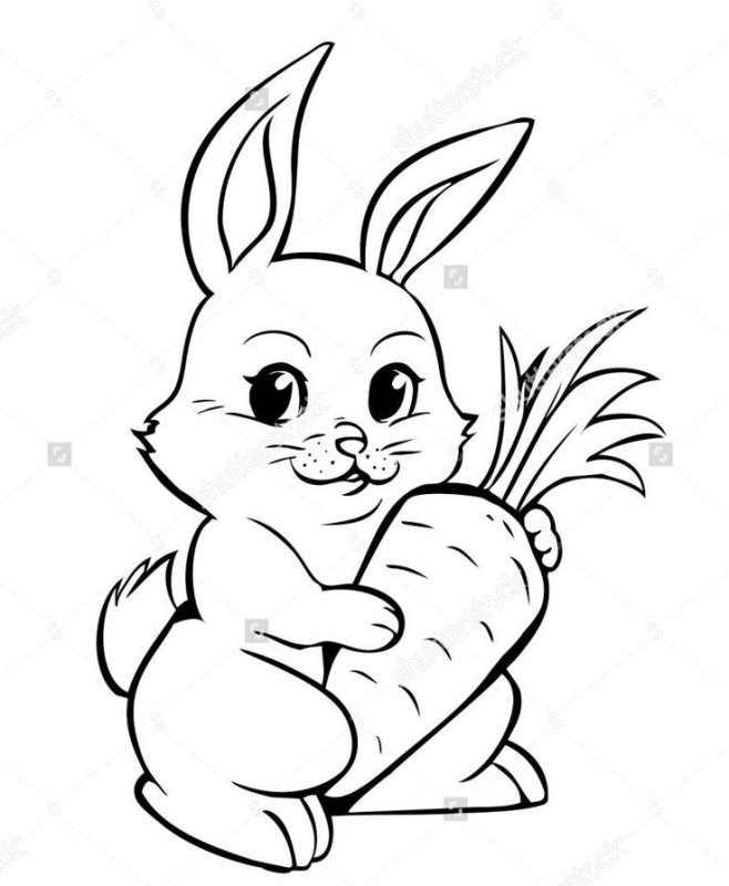 Заяц с морковкой раскраска