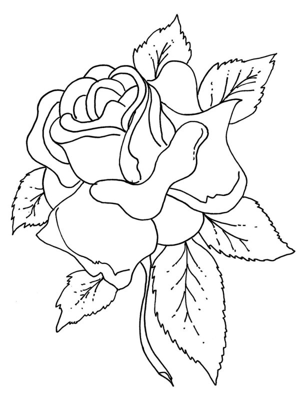 Трафарет цветов для выжигания по дереву