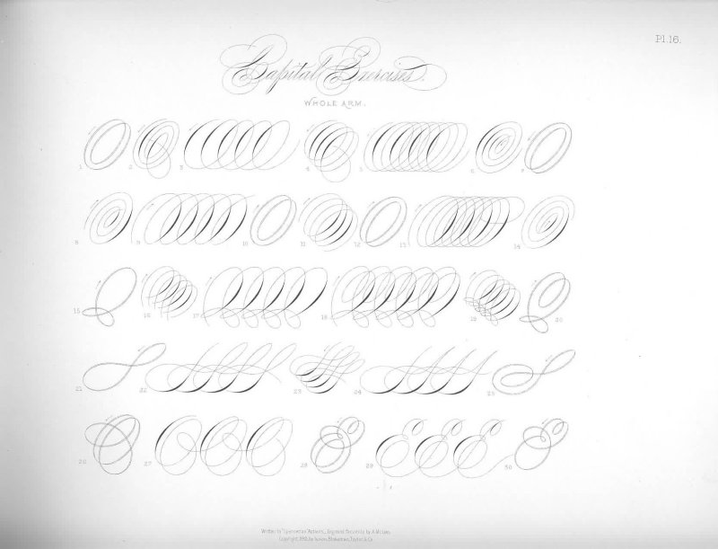 Упражнения для каллиграфического почерка пером