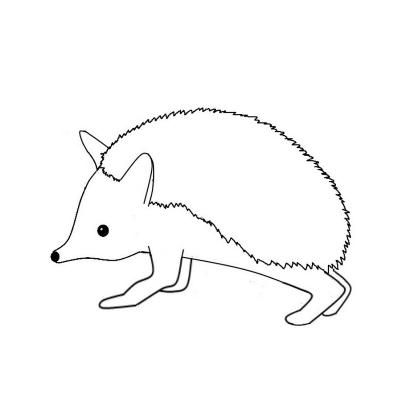 Ежик для рисования без иголок