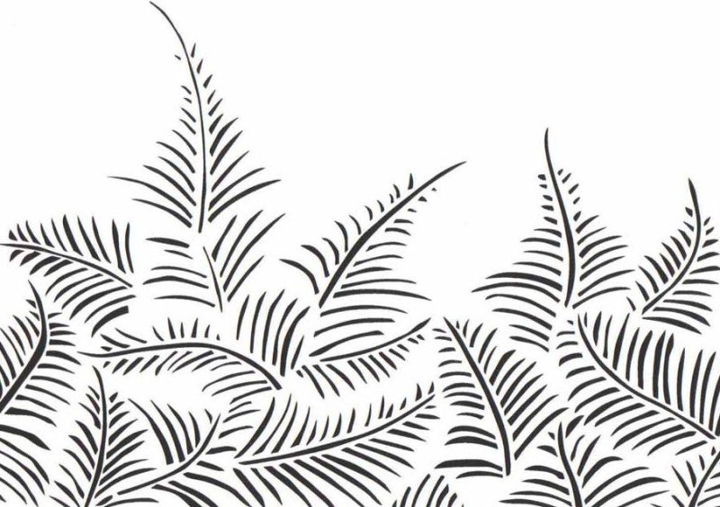 Папоротник раскраска